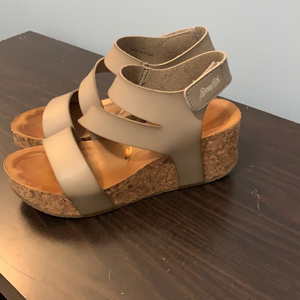 Blowfish Wedges